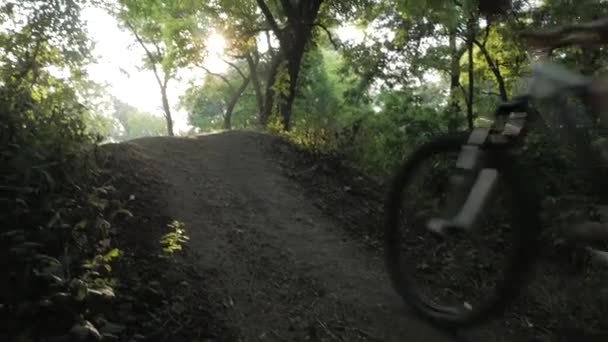 阳光明媚的日子 骑自行车 头戴头盔的年轻男子在森林里骑车 — 图库视频影像