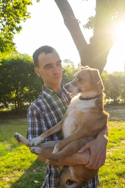 Fröhlicher Junger Rüde Spielt Mit Mischlingshund Sonnigen Sommerpark — Stockfoto