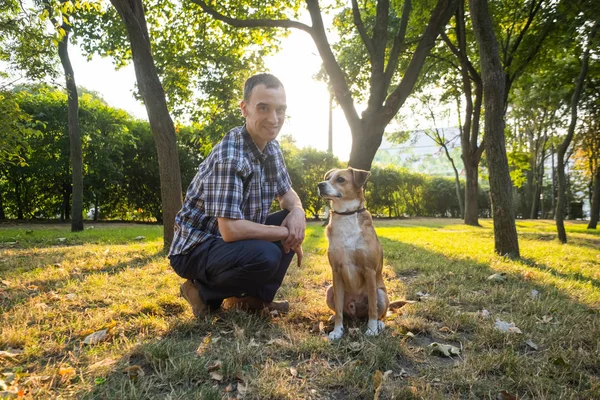 Mutlu genç erkek, yaz güneşli parkta cinsiyetsiz köpekle oynuyor.