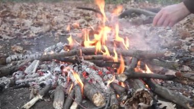 Arkaplanda turuncu ateş, yaz ormanlarında kamp ateşi