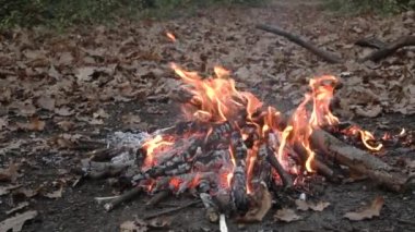 Arkaplanda turuncu ateş, yaz ormanlarında kamp ateşi