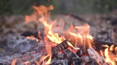 Arkaplanda turuncu ateş, yaz ormanlarında kamp ateşi