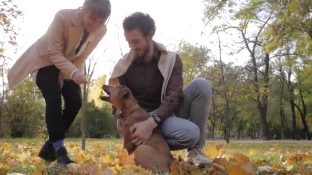 Paar Jongeren Spelen Met Hond Het Najaarspark — Stockvideo