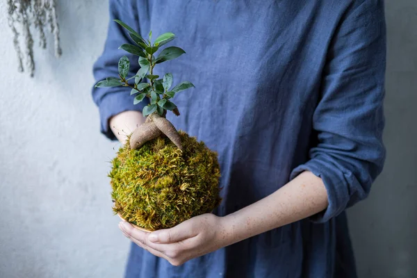 Bonsai ağacıyla kokedama ya da dişinin ellerinde sulu bir ağaç.