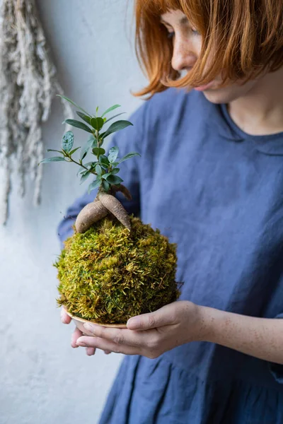 Kokedama Dengan Pohon Bonsai Atau Pohon Sukulen Tangan Perempuan Menutup — Stok Foto