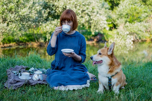 Jovem Mulher Vestido Retro Com Cão Corgi Engraçado Piquenique Fêmea — Fotografia de Stock