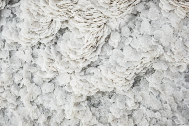 Tuz gölünde beyaz tuz kristalleri. Yaklaş.