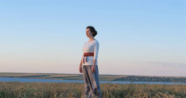 Hembra Practicando Qigong Campos Verano Con Hermosa Puesta Sol Fondo — Foto de Stock