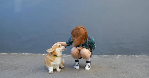 Junge Frau Mit Corgi Hund — Stockfoto