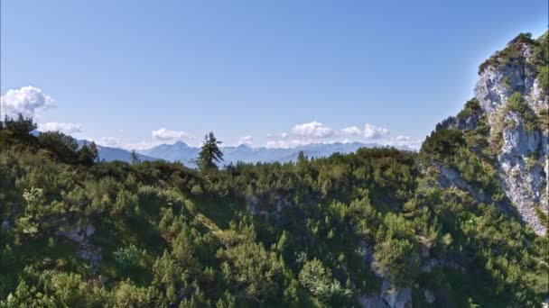 Vista Aérea Sobre Campo Hermoso Valle Montaña Bargis Suiza — Vídeos de Stock