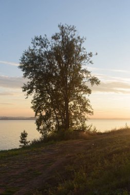 Yanında Votkinsk gölde günbatımında ağacında