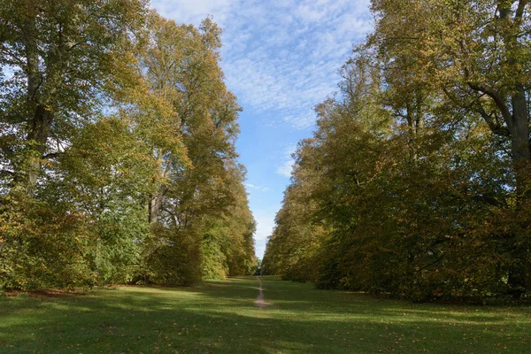 Nowton Park Avenue'de sonbahar kireç