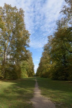 Güz Nowton Park Avenue'de kireç yolundaki