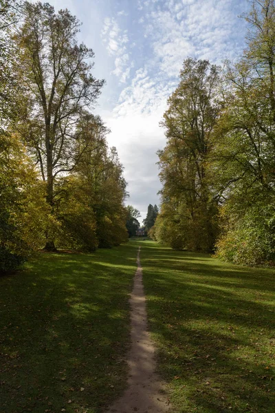 在英国萨福克郡伯里圣埃德蒙兹的诺顿公园 秋天的石灰大道小路 — 图库照片