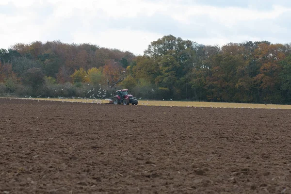 Alan aşağıdaki kuş sürüsü ile çiftçilik traktör