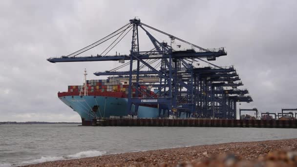 Felixstowe Vereinigtes Königreich 2018 Maersk Line Containerschiff Mette Maersk Legt — Stockvideo