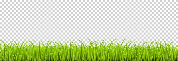 Groen gras realistisch. Lente gras, veld, natuur Eco-Stock v — Stockvector