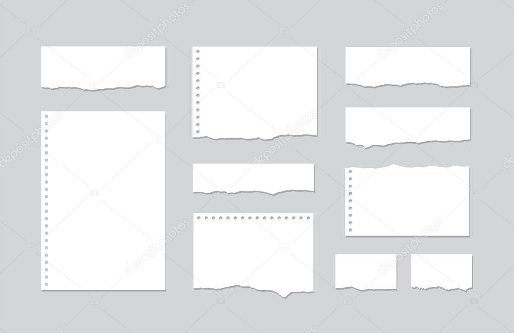 Set pieces of torn white lined notebook paper on gray background