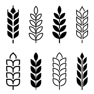 Buğday ikonu seti. Tahıl, buğday, tahıl, tam tahıl, hasat, sap. Rye kulaklar düz ve ince çizgi biçimi - stok vektörü.