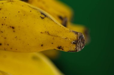 Brezilyalı muz. Salkım muzu görünümünü yeşil zemin üzerine. Tropikal meyve zengin lif ve potasyum, sağlıklı diyet iyi bir müttefik olmak.