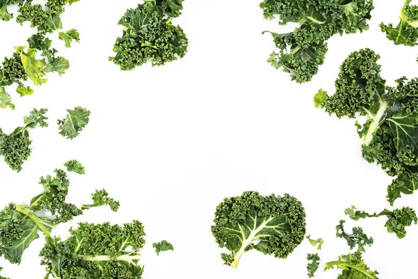 Green kale leaves — Stock Photo, Image