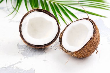 Hindistan cevizi yarısı ve yaprakları