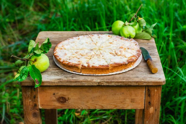 Hemlagad äppelpaj i trädgården — Stockfoto