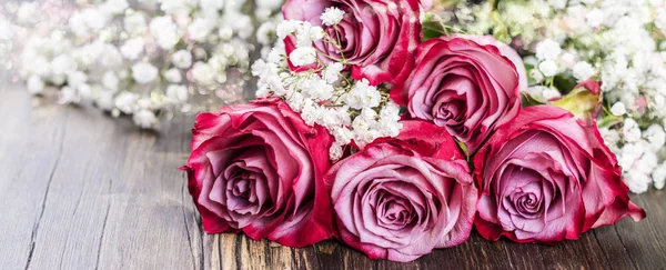Rózsaszín rózsák fehér háttér — Stock Fotó