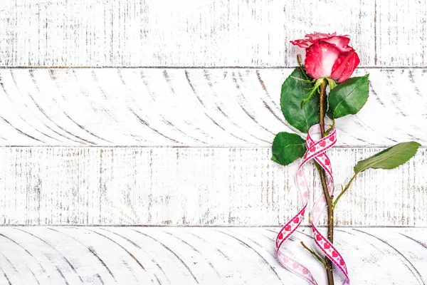 Pink rose on white background — Stock Photo, Image