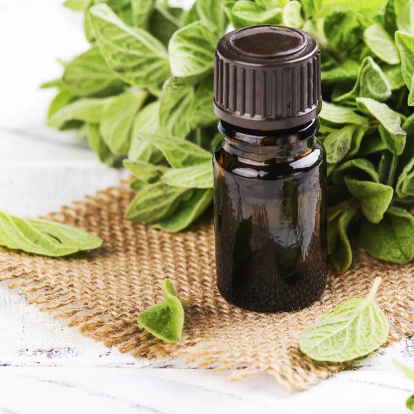 Oregano esaslı yağı