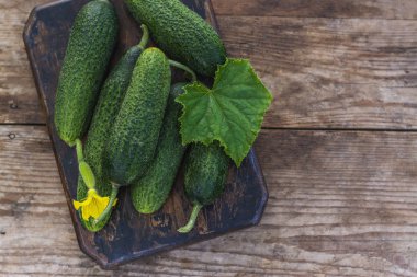 taze organik salatalık