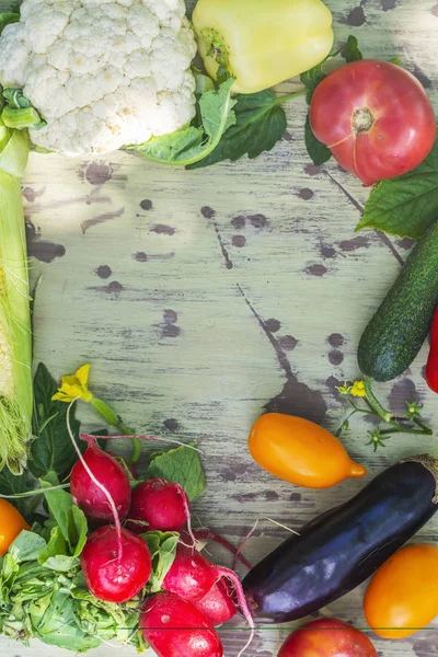 Produtos hortícolas biológicos frescos — Fotografia de Stock