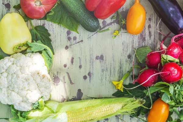 Verduras orgánicas frescas — Foto de Stock