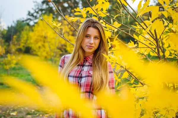 Portrait Young Pretty Woman Yellow Autumn Trees Outdoor — Stock Photo, Image