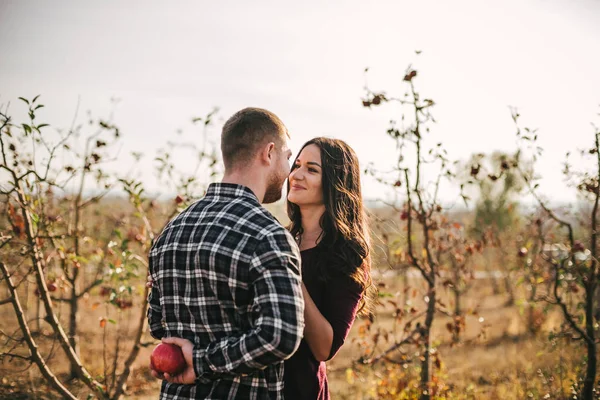 Jovem Casal Bonito Primeira Data Pomar Maçã — Fotografia de Stock