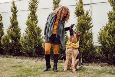 Alman çoban köpeğini çimlerin üzerinde eğiten şık bir kadın.