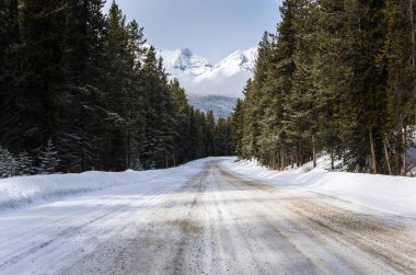 Snowy orman yolu güneşli bir kış gününde dağlarda ıssız streç. Banff Ulusal Parkı, Ab, Kanada.