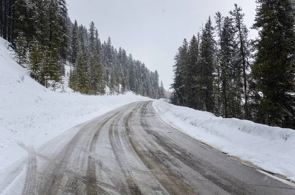 Winding Mountain Road Covered Fresh Snow Snowstorm Banff National Park — Stock Photo, Image