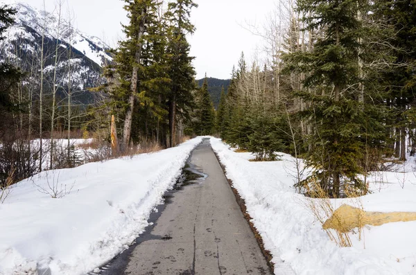 在冬天 一个河畔路径的直线伸展清除了雪 加拿大 Banff — 图库照片