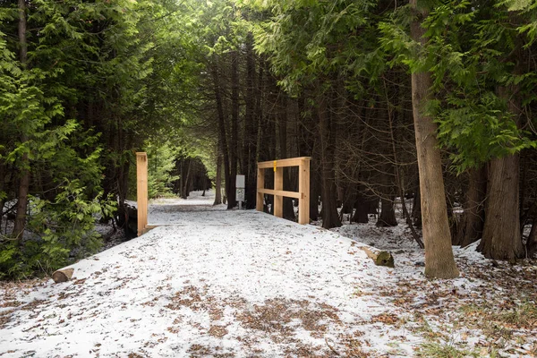 Pequeño Puente Madera Largo Sendero Cubierto Nieve Través Bosques Día — Foto de Stock