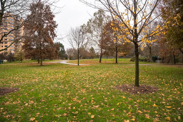 Hermoso Downton Park Finales Otoño Con Hojas Caídas Amarillas Que — Foto de Stock