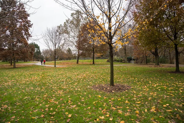 Pareja Caminando Por Camino Pavimentado Parque Público Una Mañana Nublada — Foto de Stock