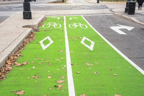 Двухполосная Велосипедная Дорожка Перекрестке Концепция Экологических Средств Транспорта — стоковое фото