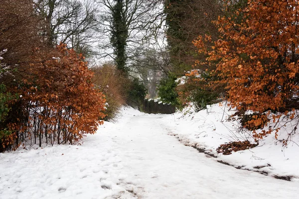Narrow Country Road Cubierto Nieve Fresca Scotalnd Reino Unido — Foto de Stock