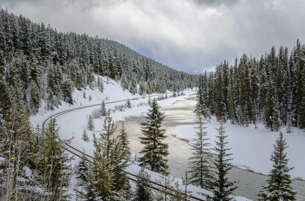 在多云的冬日里 沿着一条河在白雪皑皑的森林山地景观上弯曲铁轨 加拿大 班夫国家公园 — 图库照片