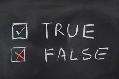 True veya False onay kutularını Hadwritten bir kara tahta üzerinde tebeşir ile. Kavramsal bir kara tahta fotoğrafı.