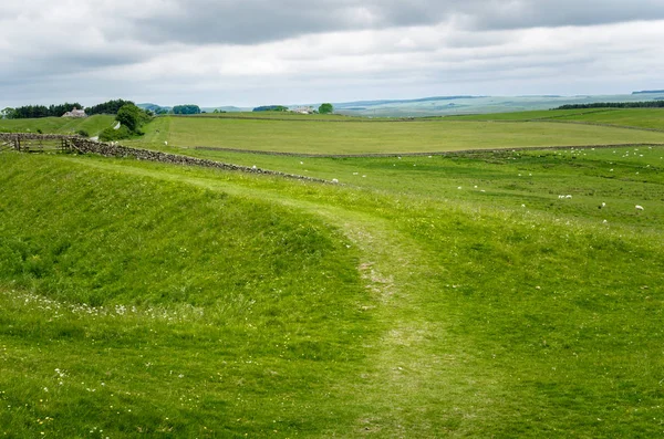 Sentiero Attraverso Campo Erboso Una Nuvolosa Primavera Dell Europa Northumberland — Foto Stock