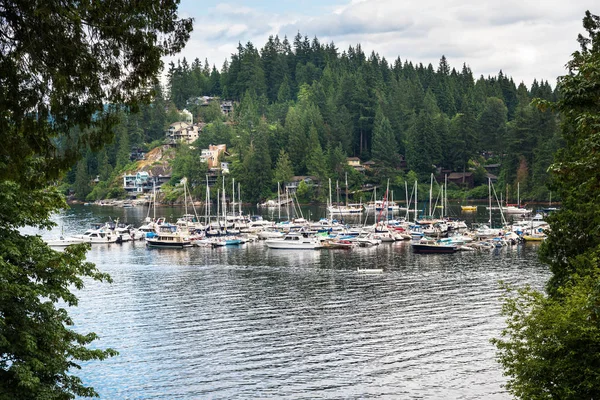 Beautiful Cove Boats Moored Jetties Cloudy Summer Day Deep Cove — Stock Photo, Image