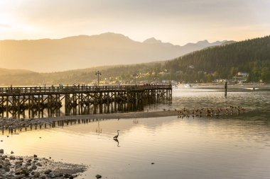 Port Moody, Bc, Kanada - 21 Haziran 2018: Gün batımında Rocky Point Parkı görkemli sahne zevk ahşap iskele insanlar. Rocky Point Parkı, Burrard giriş yer alan Port Moody en iyi bilinen park vardır.