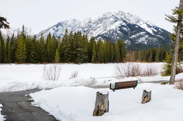 美丽的山景 在寒冷的冬日 在一条铺着的小路上 一块空的木凳在一条结冰的河流旁 加拿大 — 图库照片
